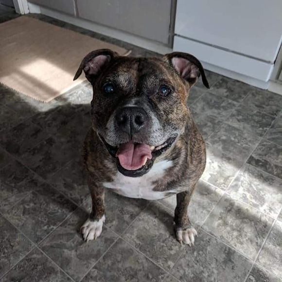 Meet your Posher, Angela - Picture 1 of 1